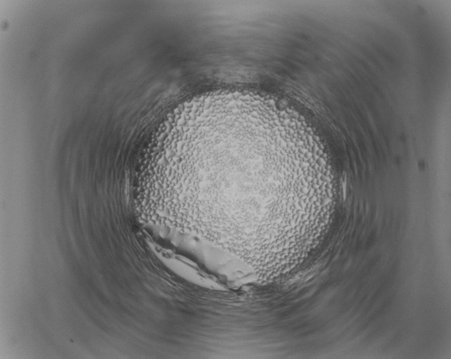 X0000060581251200512011724