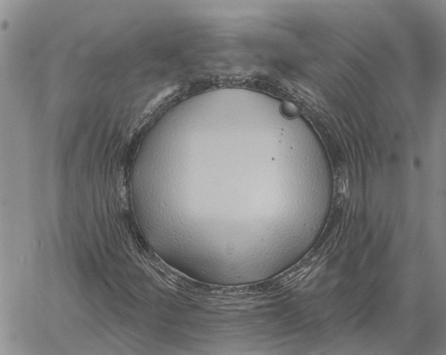 X0000060581252200512011724