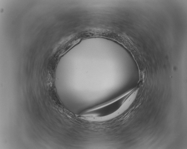 X0000060581253200512011724