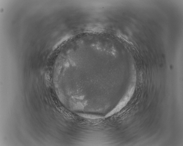 X0000060581254200512011724