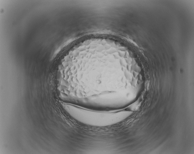 X0000060581255200512011724