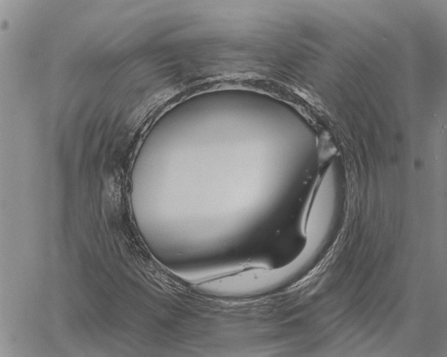 X0000060581257200512011724