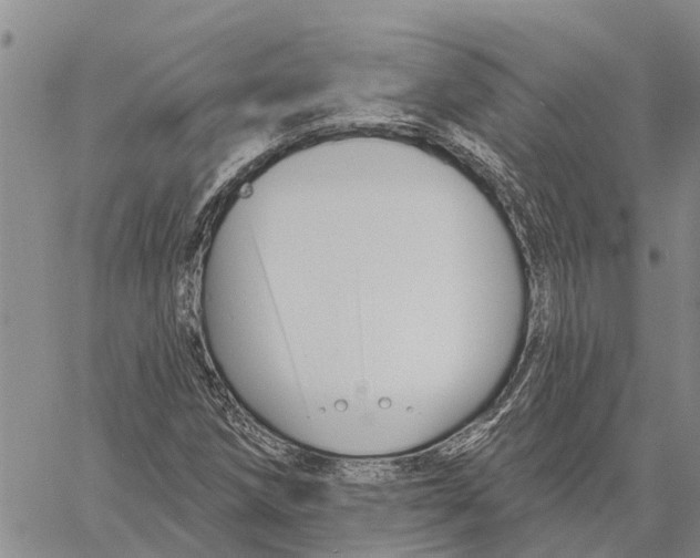 X0000060581258200512011724