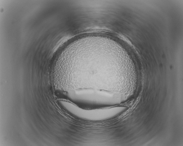 X0000060581259200512011724