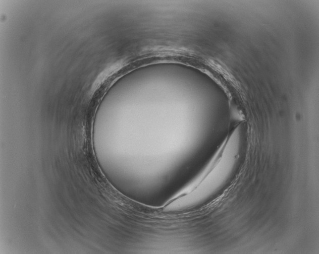 X0000060581261200512011724