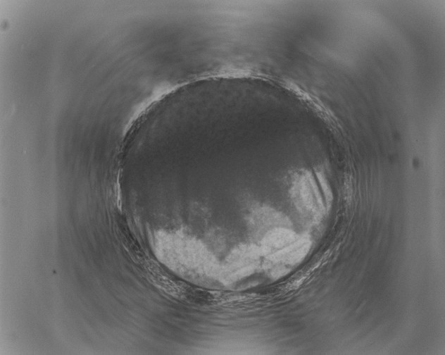 X0000060581262200512011724