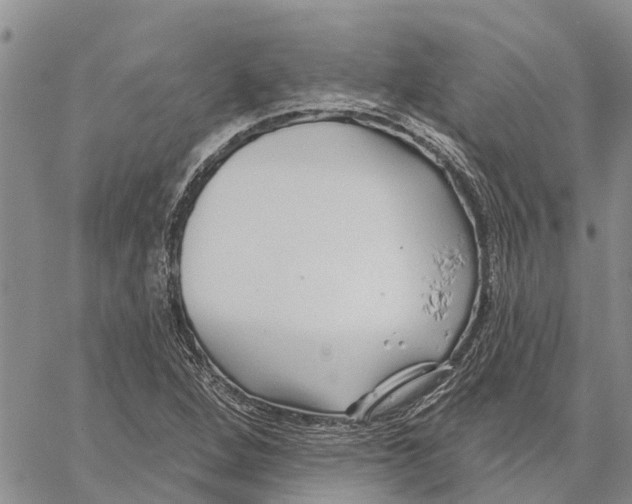 X0000060581264200512011724