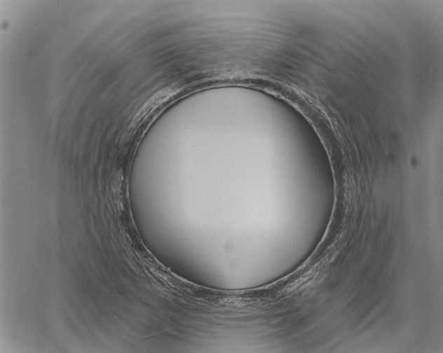 X0000060581265200512011724