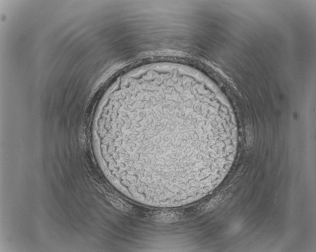 X0000060581266200512011724