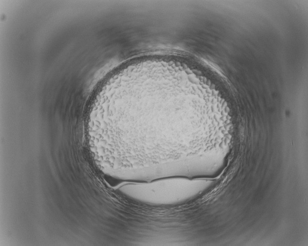 X0000060581267200512011724