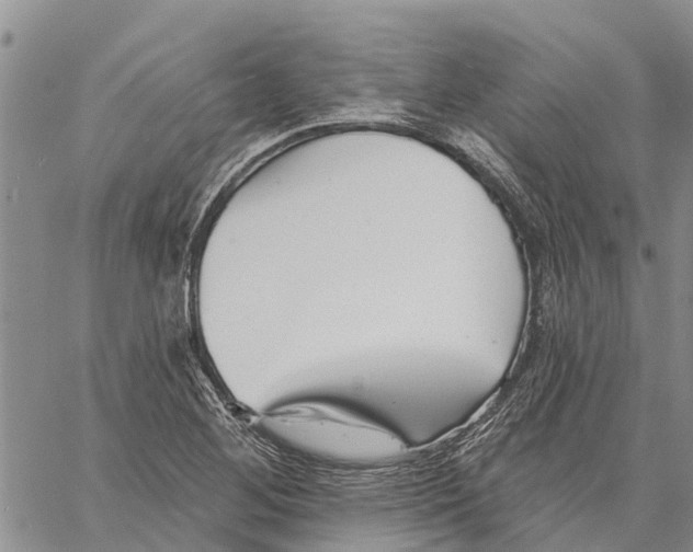 X0000060581268200512011724