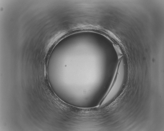 X0000060581269200512011724