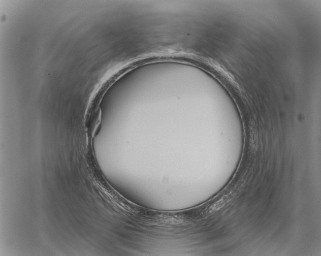 X0000060581270200512011724