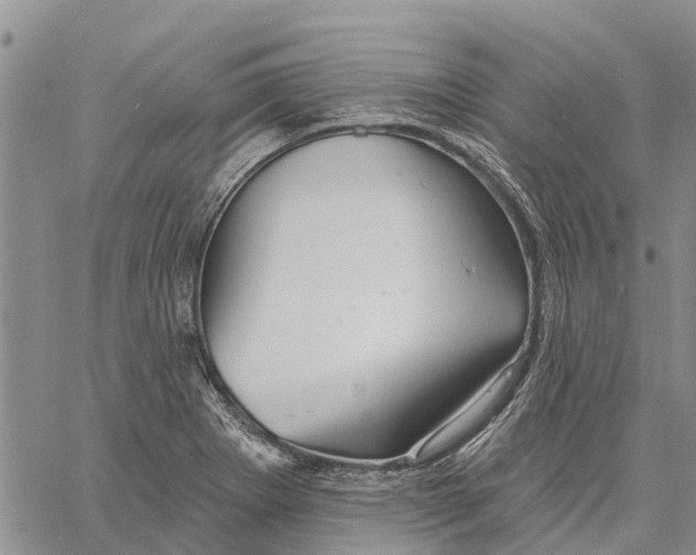 X0000060581273200512011724