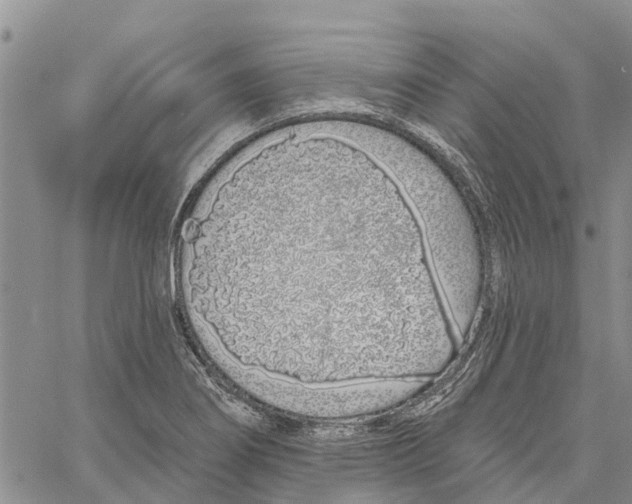 X0000060581274200512011724