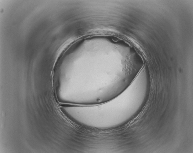 X0000060581275200512011724