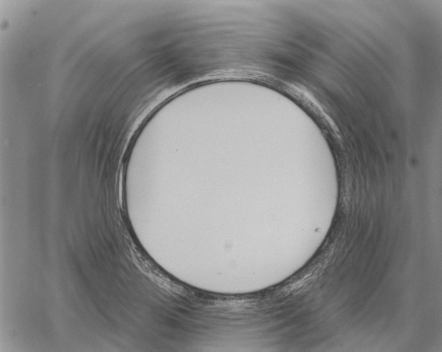 X0000060581276200512011724