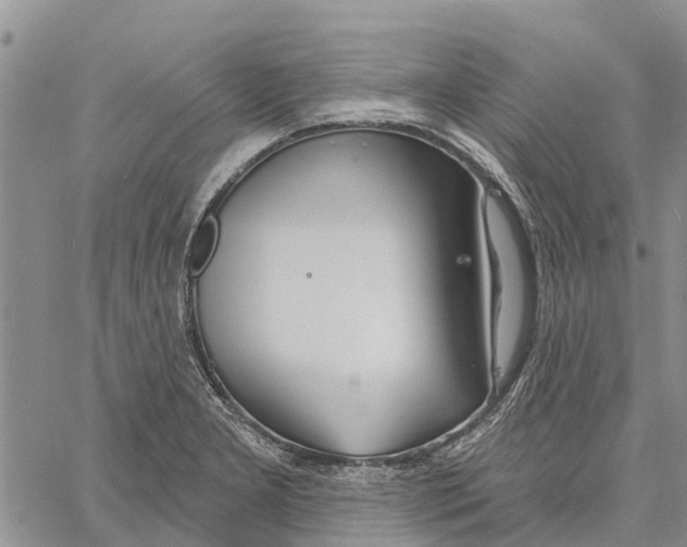 X0000060581277200512011724