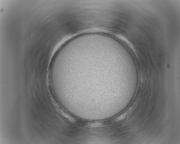 X0000060581278200512011724