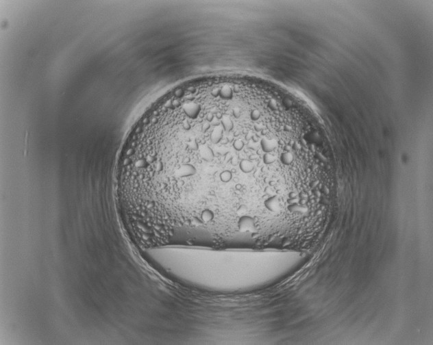 X0000060581279200512011723