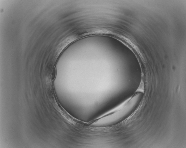 X0000060581281200512011723