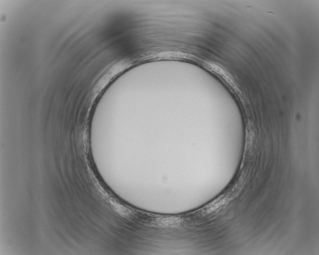 X0000060581282200512011723