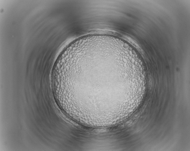 X0000060581283200512011723