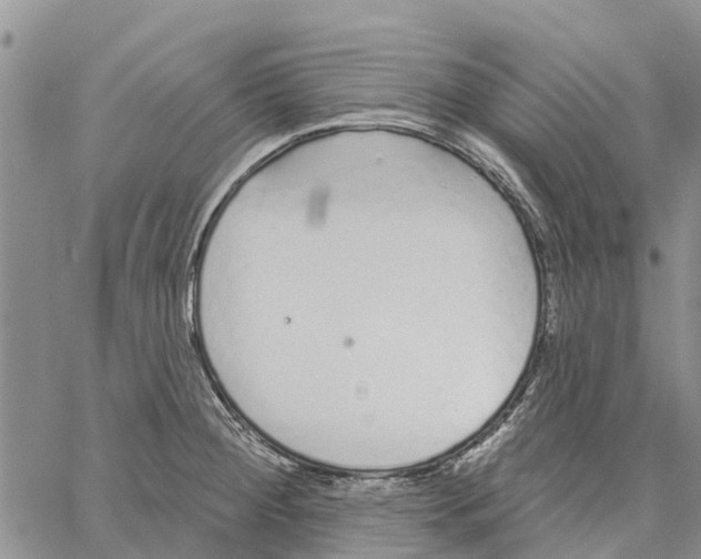 X0000060581284200512011723