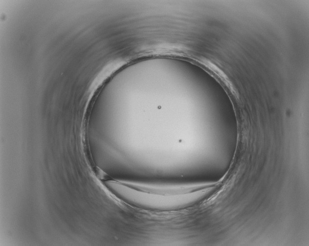 X0000060581285200512011723