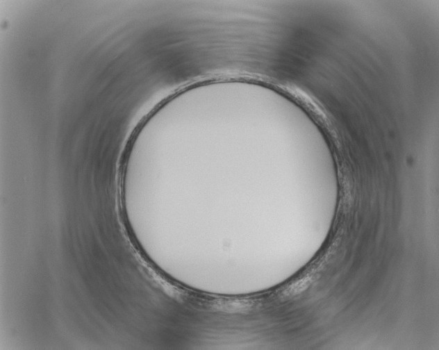 X0000060581286200512011723