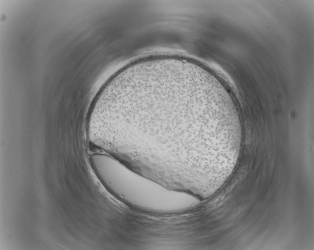 X0000060581287200512011723