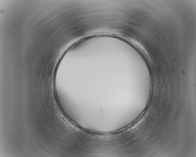 X0000060581288200512011723