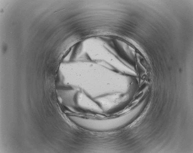 X0000060581289200512011723