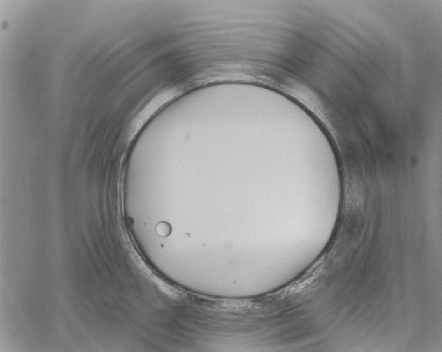 X0000060581290200512011723