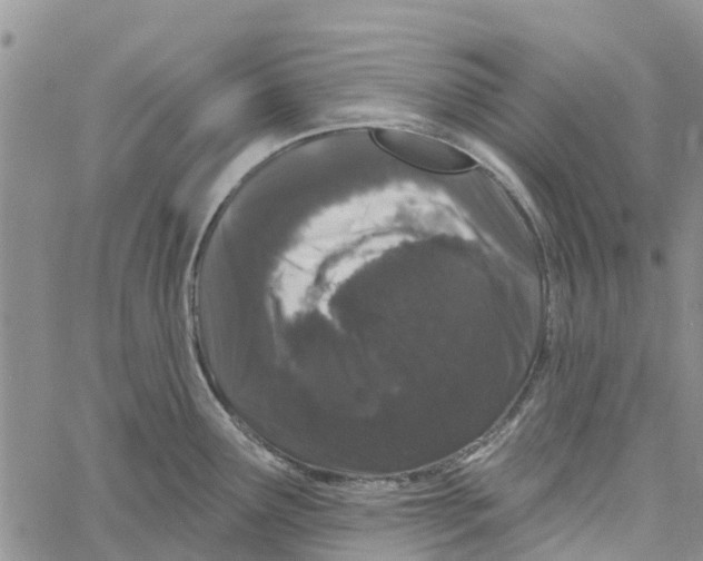 X0000060581291200512011723