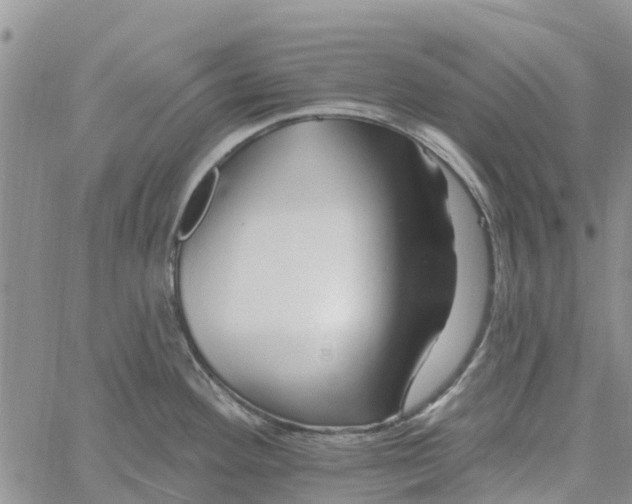 X0000060581292200512011723