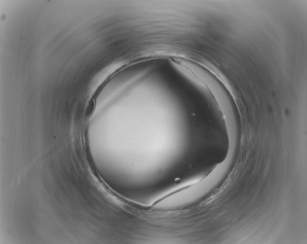 X0000060581293200512011723