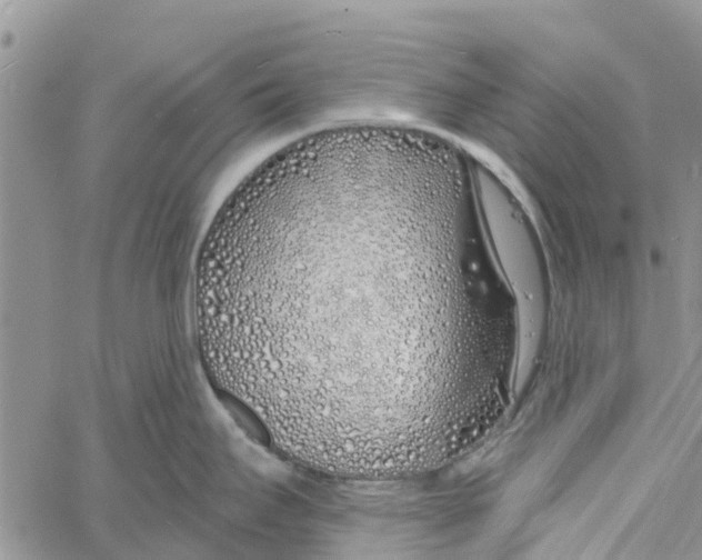 X0000060581295200512011723