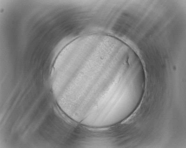 X0000060581296200512011723