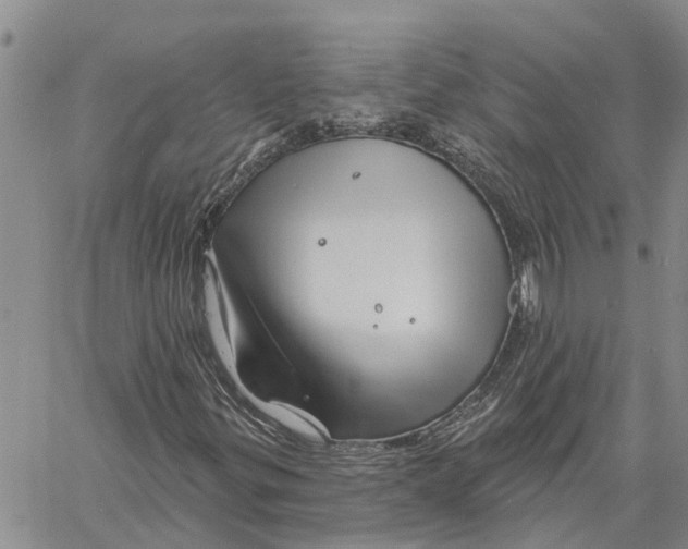 X0000060581299200512011722