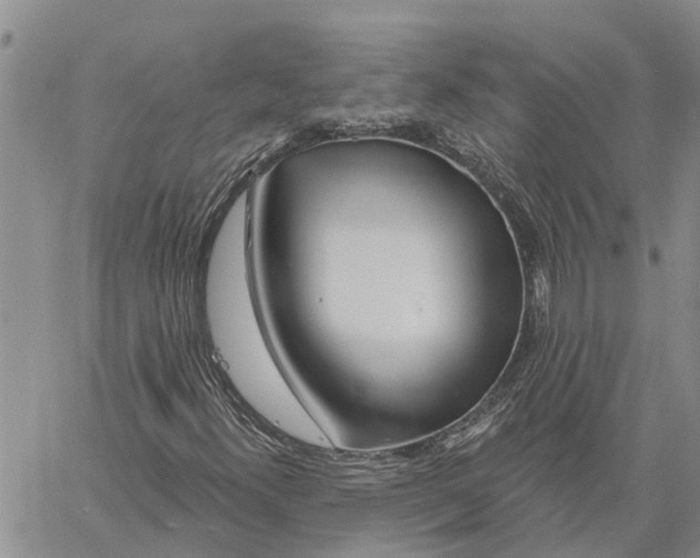 X0000060581300200512011722