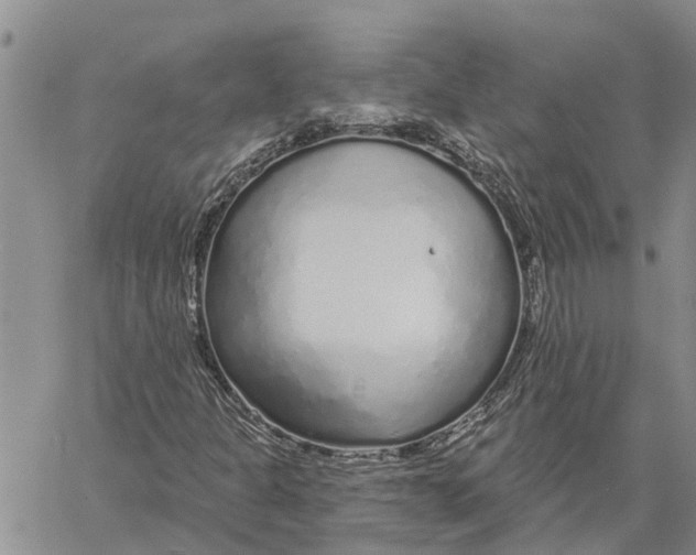 X0000060581301200512011722