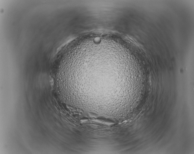 X0000060581302200512011723