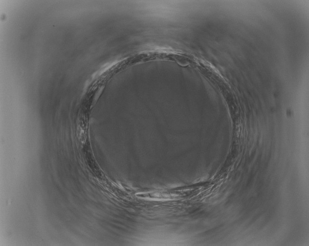 X0000060581303200512011723