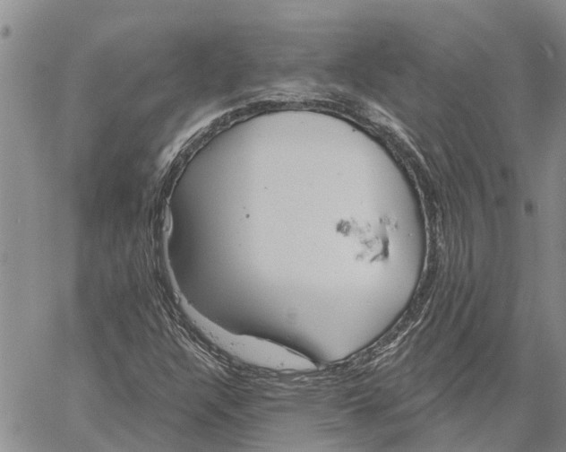 X0000060581304200512011723