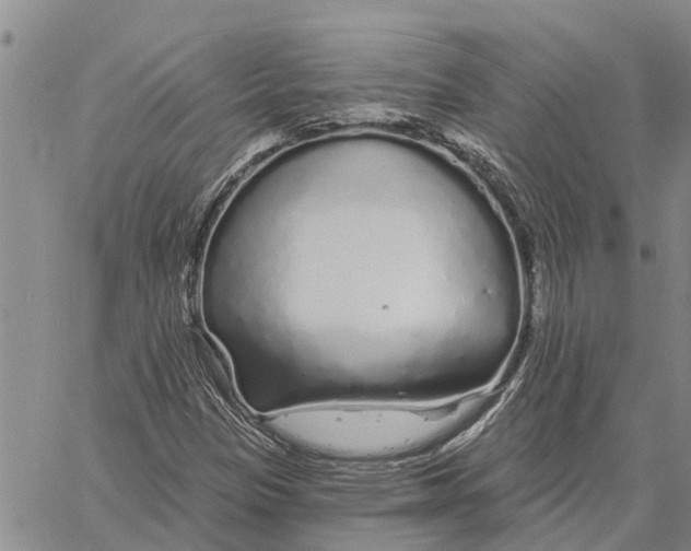 X0000060581305200512011723