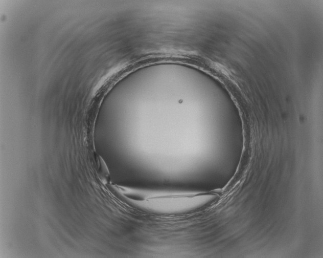 X0000060581307200512011723