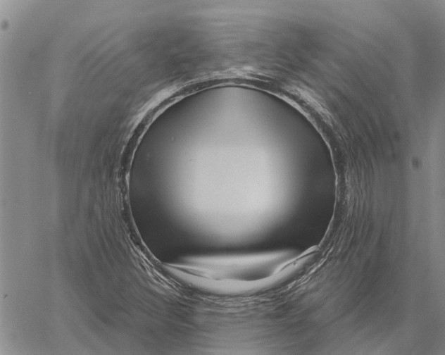 X0000060581308200512011723