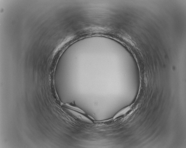 X0000060581309200512011723