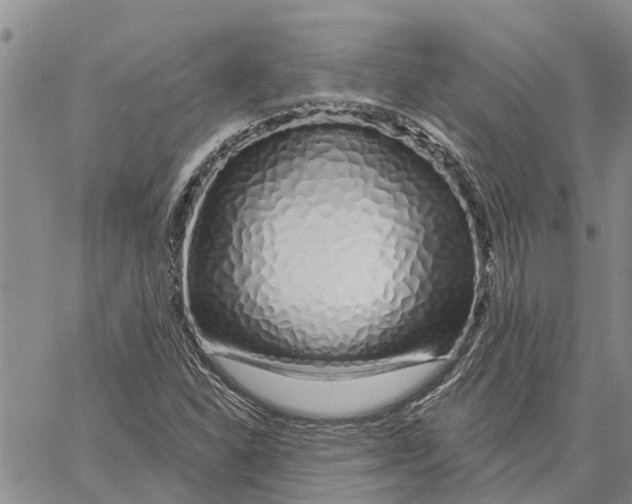 X0000060581310200512011723